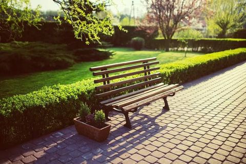 Garden Wooden Bench Designs: Discover Shapes, Wood Types, Finishes, and Design Features
