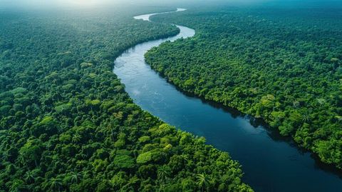 Amazon River Cruises: Explore Jungle Landscapes, Indigenous Cultures, and Scenic Waterways